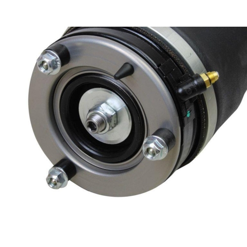MAXGEAR Luftfederbein 11-0806