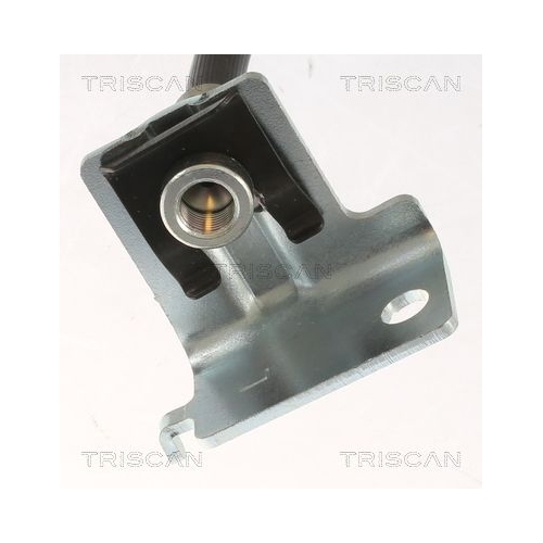 TRISCAN Bremsschlauch 8150 431003