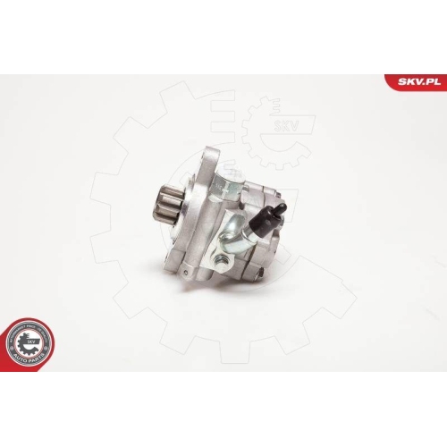 ESEN SKV Hydraulikpumpe, Lenkung