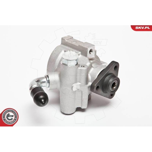 ESEN SKV Hydraulikpumpe, Lenkung