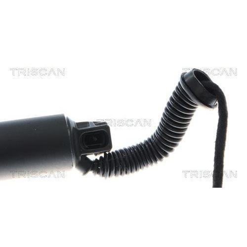 TRISCAN Gasfeder, Koffer-/Laderaum 8710 292085