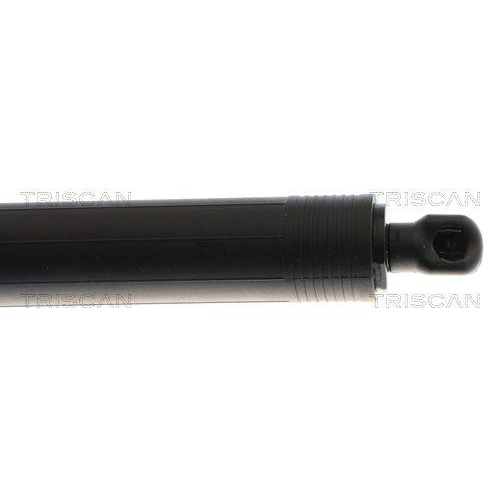TRISCAN Gasfeder, Koffer-/Laderaum 8710 29323