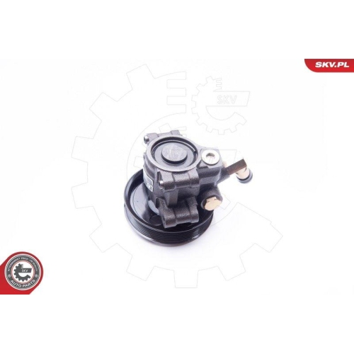 ESEN SKV Hydraulikpumpe, Lenkung