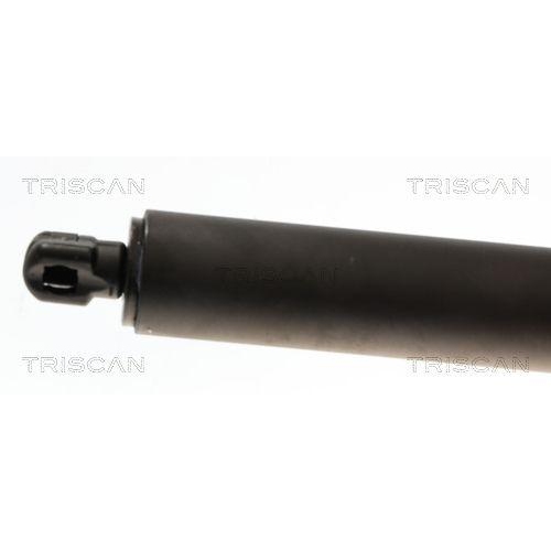 TRISCAN Gasfeder, Koffer-/Laderaum 8710 29327