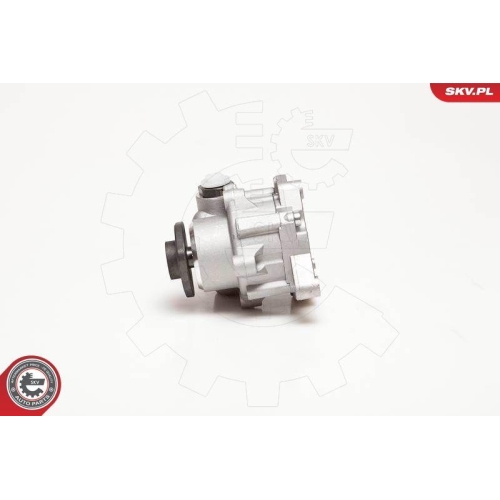 ESEN SKV Hydraulikpumpe, Lenkung