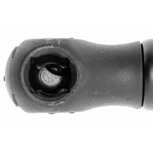 VAICO Gasfeder, Motorhaube Original VAICO Qualit&auml;t V10-1936