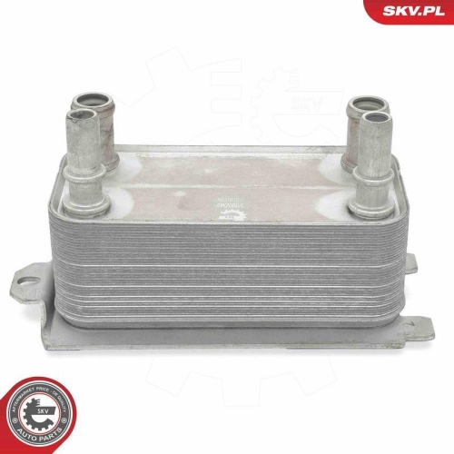 ESEN SKV &Ouml;lk&uuml;hler, Motor&ouml;l 31SKV342