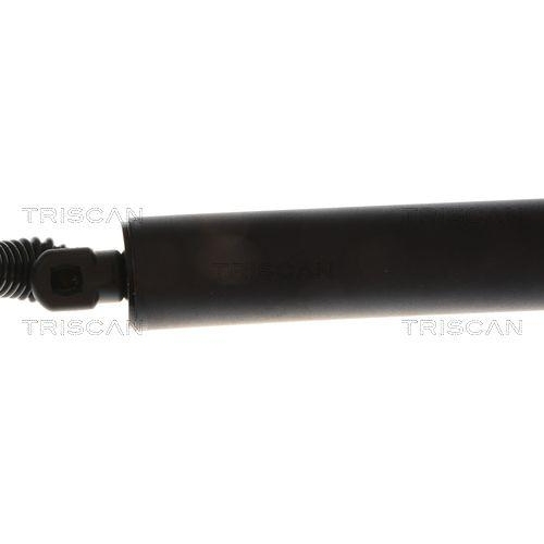 TRISCAN Gasfeder, Koffer-/Laderaum 8710 43311