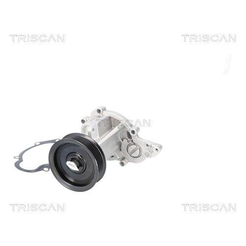 TRISCAN Wasserpumpe, Motork&uuml;hlung 8600 12002