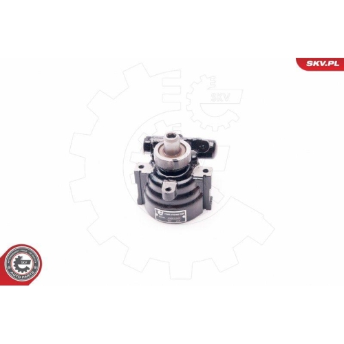 ESEN SKV Hydraulikpumpe, Lenkung