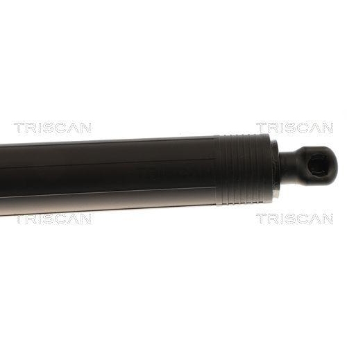 TRISCAN Gasfeder, Koffer-/Laderaum 8710 43313