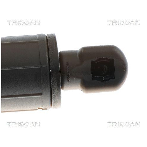 TRISCAN Gasfeder, Koffer-/Laderaum 8710 24304