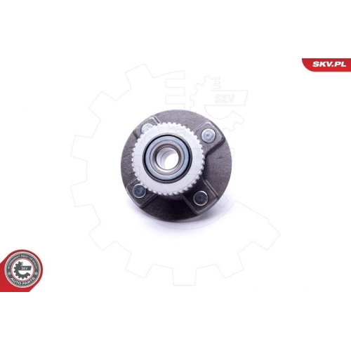 ESEN SKV Radlagersatz 29SKV520