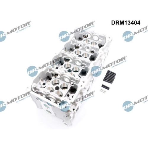 Dr.Motor Automotive Zylinderkopf DRM13404