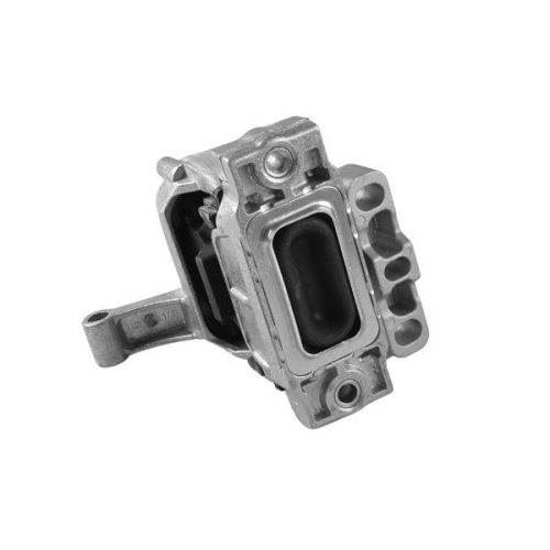 TEDGUM Lagerung, Motor