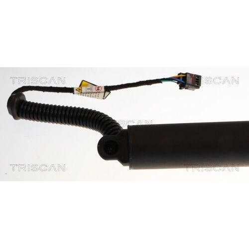TRISCAN Gasfeder, Koffer-/Laderaum 8710 29342