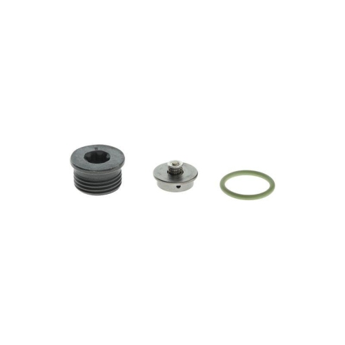 BOSCH Reparatursatz, Common-Rail-System F 00N 201 244
