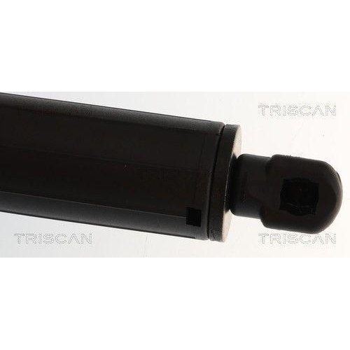 TRISCAN Gasfeder, Koffer-/Laderaum 8710 11143