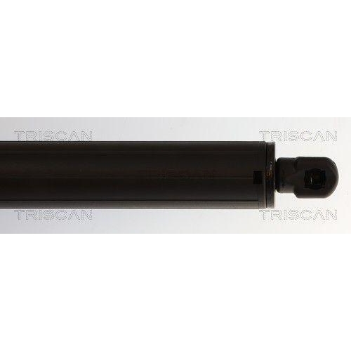 TRISCAN Gasfeder, Koffer-/Laderaum 8710 29344