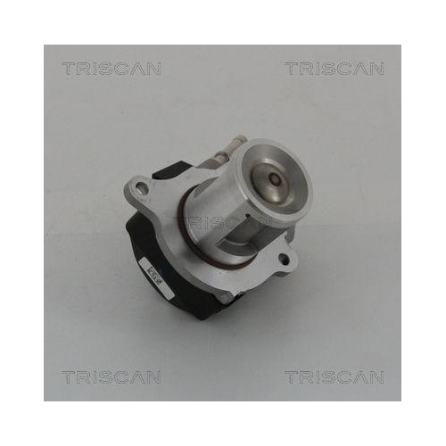 TRISCAN AGR-Ventil 8813 23016