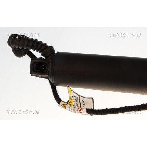 TRISCAN Gasfeder, Koffer-/Laderaum 8710 29332