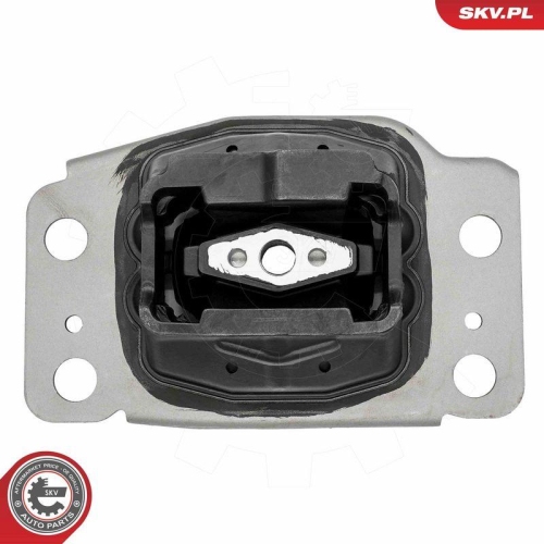 ESEN SKV Lagerung, Automatikgetriebe 75SKV814