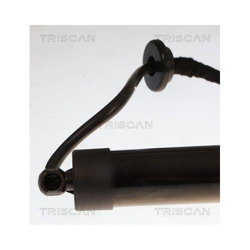 TRISCAN Gasfeder, Koffer-/Laderaum 8710 25301
