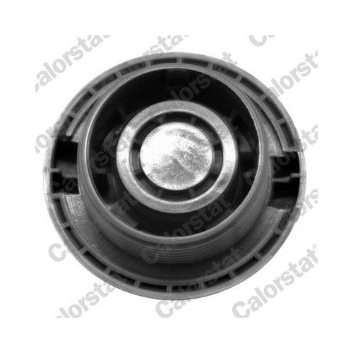 CALORSTAT by Vernet Ausgleichsbehälter, Kühlmittel ET0002C1