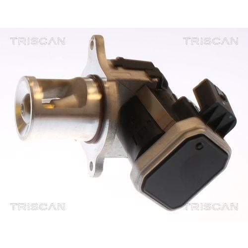 TRISCAN AGR-Ventil 8813 23101