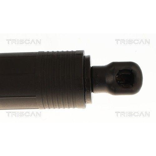 TRISCAN Gasfeder, Koffer-/Laderaum 8710 29336