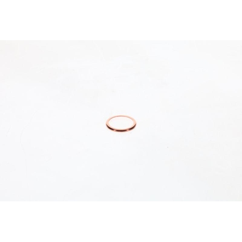 BOSCH Dichtung 1 420 211 005