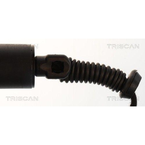TRISCAN Gasfeder, Koffer-/Laderaum 8710 29337