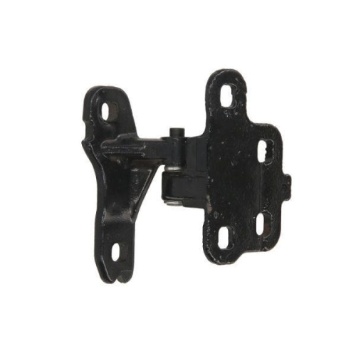 PACOL T&uuml;rscharnier VOL-DH-005R