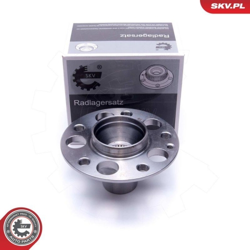 ESEN SKV Radlagersatz 29SKV504