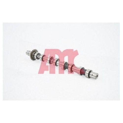 AMC Nockenwelle 647254