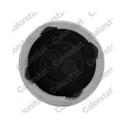 CALORSTAT by Vernet Ausgleichsbehälter, Kühlmittel ET0131C1