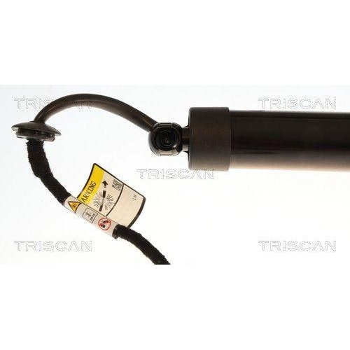 TRISCAN Gasfeder, Koffer-/Laderaum 8710 43315