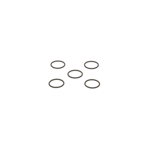 BOSCH Dichtring F 00R J01 878