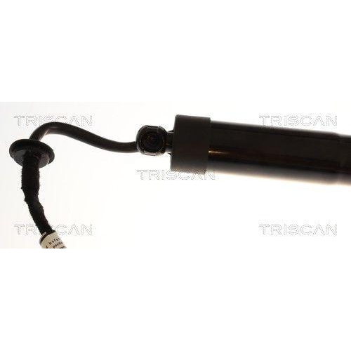 TRISCAN Gasfeder, Koffer-/Laderaum 8710 43316