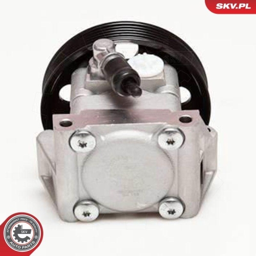 ESEN SKV Hydraulikpumpe, Lenkung 10SKV001