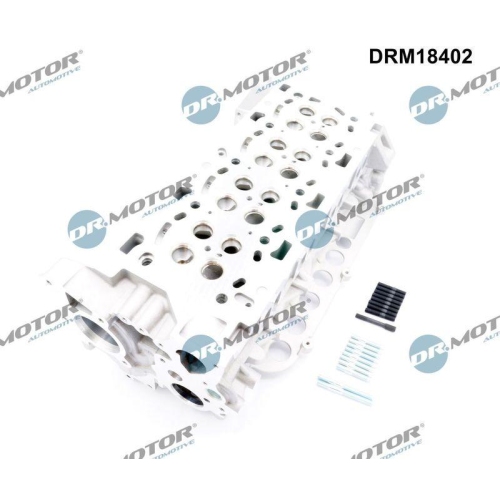 Dr.Motor Automotive Zylinderkopf DRM18402