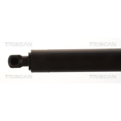 TRISCAN Gasfeder, Koffer-/Laderaum 8710 23321