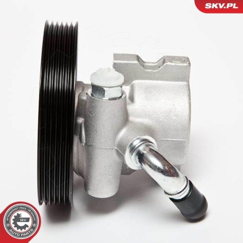 ESEN SKV Hydraulikpumpe, Lenkung 10SKV002