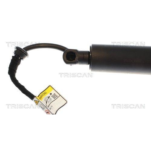 TRISCAN Gasfeder, Koffer-/Laderaum 8710 43317