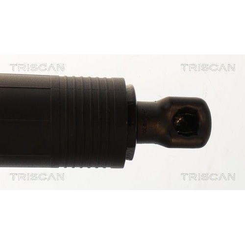 TRISCAN Gasfeder, Koffer-/Laderaum 8710 29343