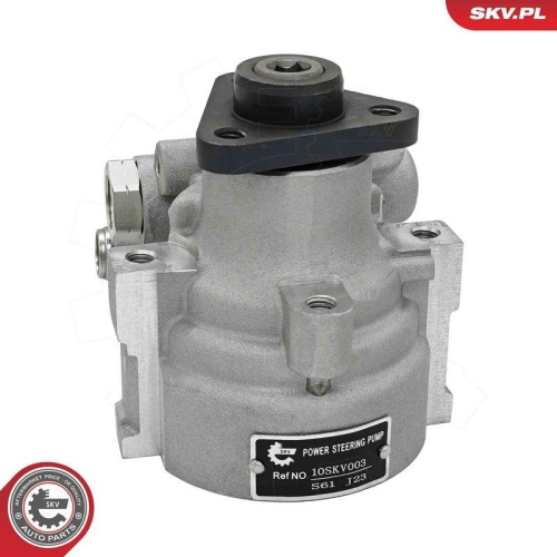 ESEN SKV Hydraulikpumpe, Lenkung 10SKV003