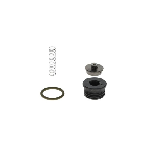 BOSCH Reparatursatz, Common-Rail-System F 00N 201 001