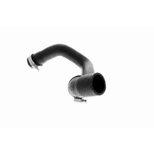 VAICO K&uuml;hlerschlauch Original VAICO Qualit&auml;t V20-2463