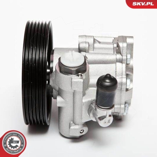 ESEN SKV Hydraulikpumpe, Lenkung 10SKV004