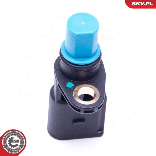 ESEN SKV Lenkwinkelsensor 17SKV485